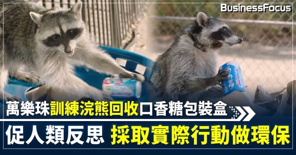 美國萬樂珠訓練浣熊做回收 正確完成率達75% 促消費者關注資源回收問題
