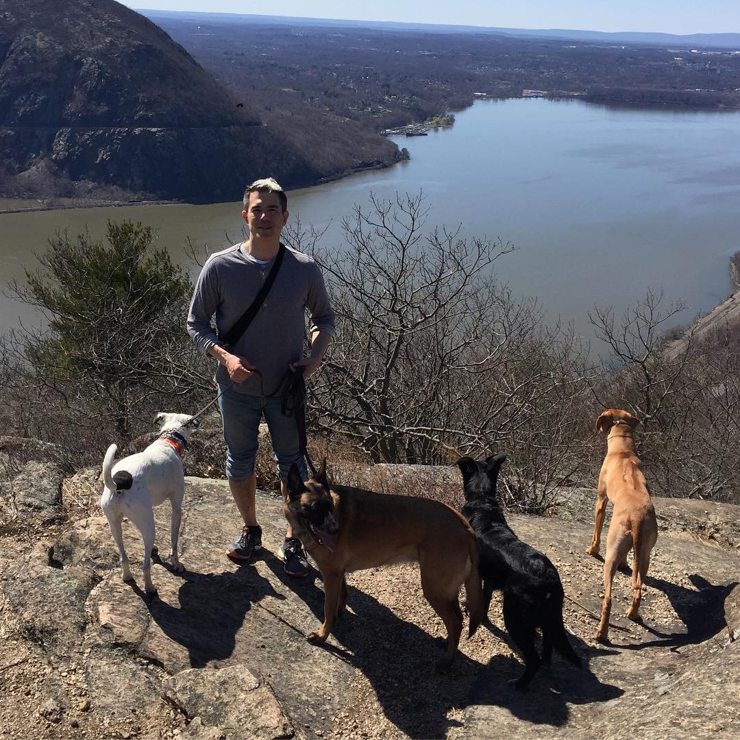 Ryan每周工作6日,每日工時達6小時,每隻狗一小時收費20至25美元。