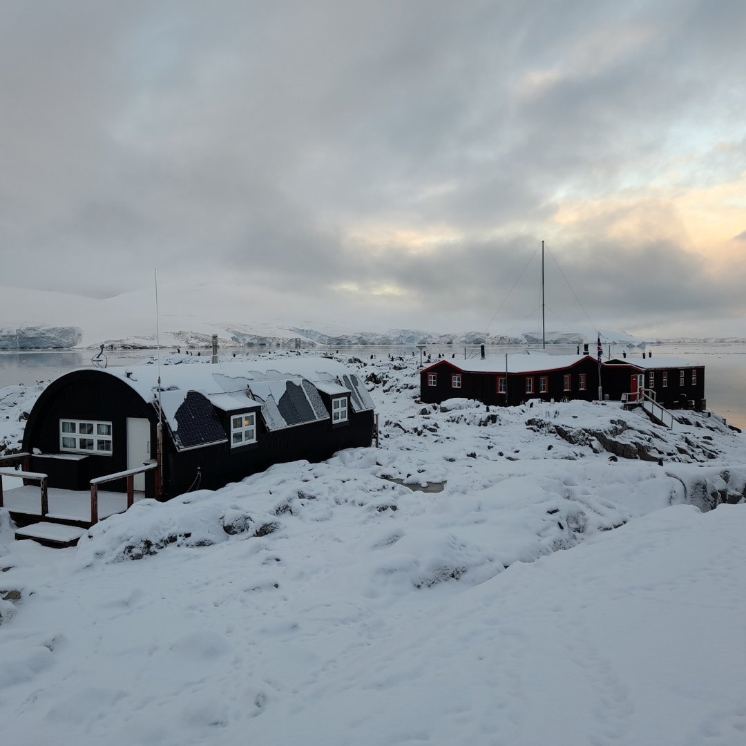 在經過官方篩選後,4名英國女子最終「擊敗」數千名候選人,成功獲得今年11月至明年3月到南極工作的機會。