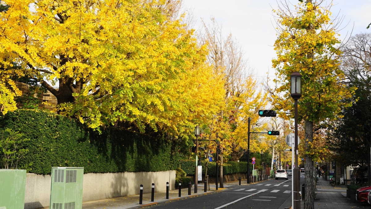 調查中得出首10名的車站,有6個是位於世田谷區。