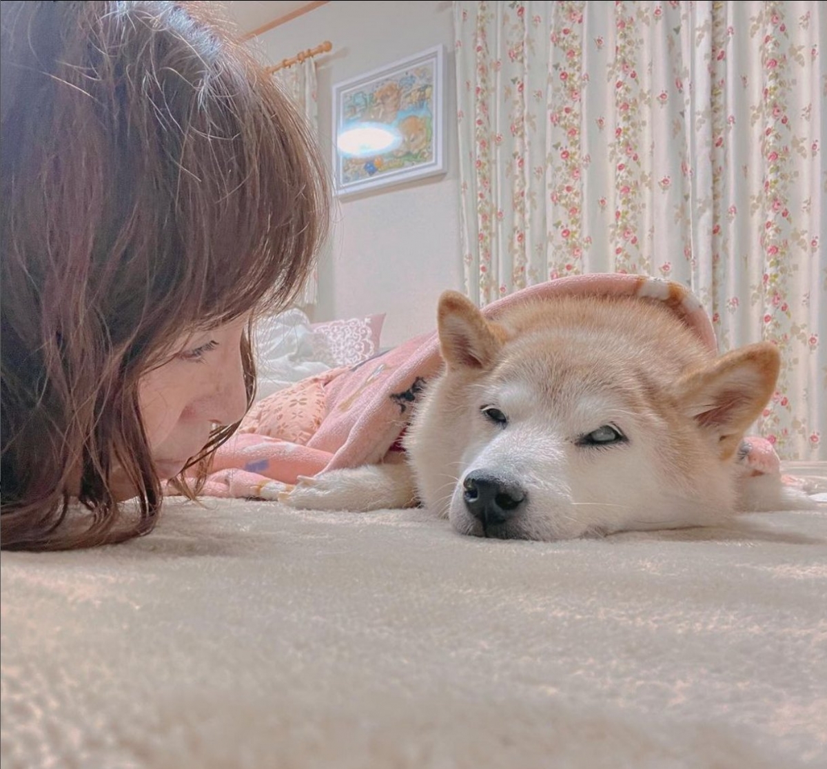 佐藤敦子愛犬病危。