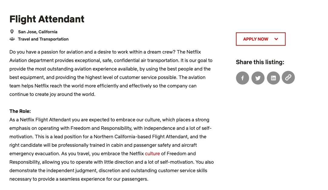 Netflix為旗下私人飛機招募空服員