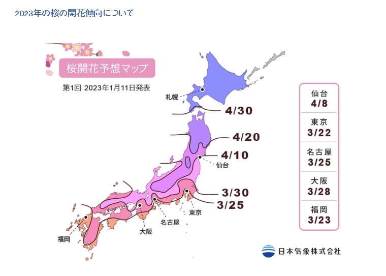 日本櫻花第一次開花期預測在1月11日公布,第二次開花期預測將在1月26日公布。