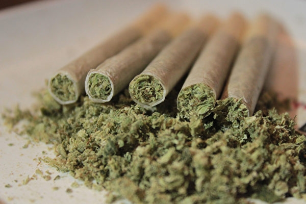 大麻測試員必須在德國擁有合法執照,該國最快將在2024年實現娛樂用大麻合法化。