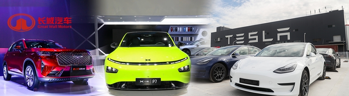 有散戶欲蝕放小鵬及長城汽車,孤注一擲買Tesla求翻身。