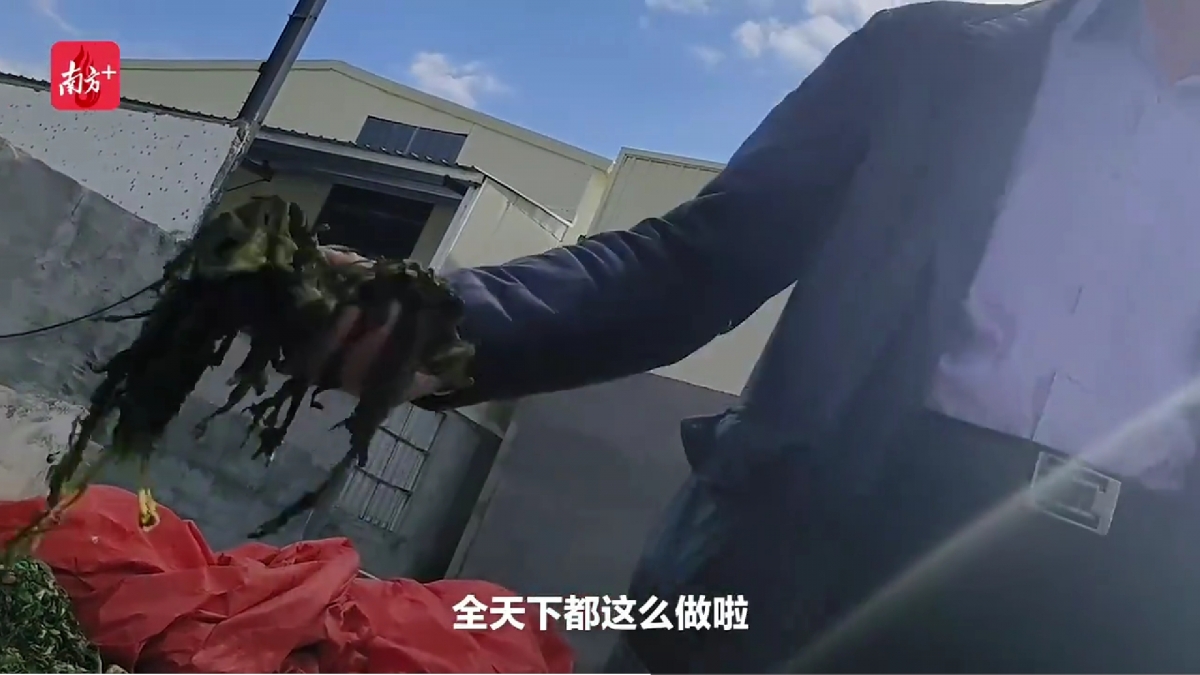 業者在被詢問時直接表示,「全天下都這麽做」。