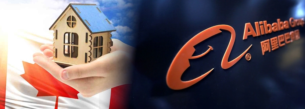 有讀者重注買阿里致帳面蝕五成,不知應否蝕讓籌錢為加拿大物業上會。