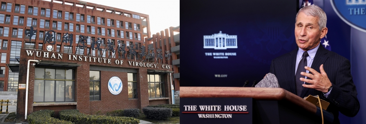 前白宮首席新冠抗疫顧問福奇(Fauci)涉秘密資助了中國的武漢病毒所