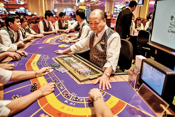 若不懂投資，新手宜避開高風險股及波幅極大股票如濠賭股。