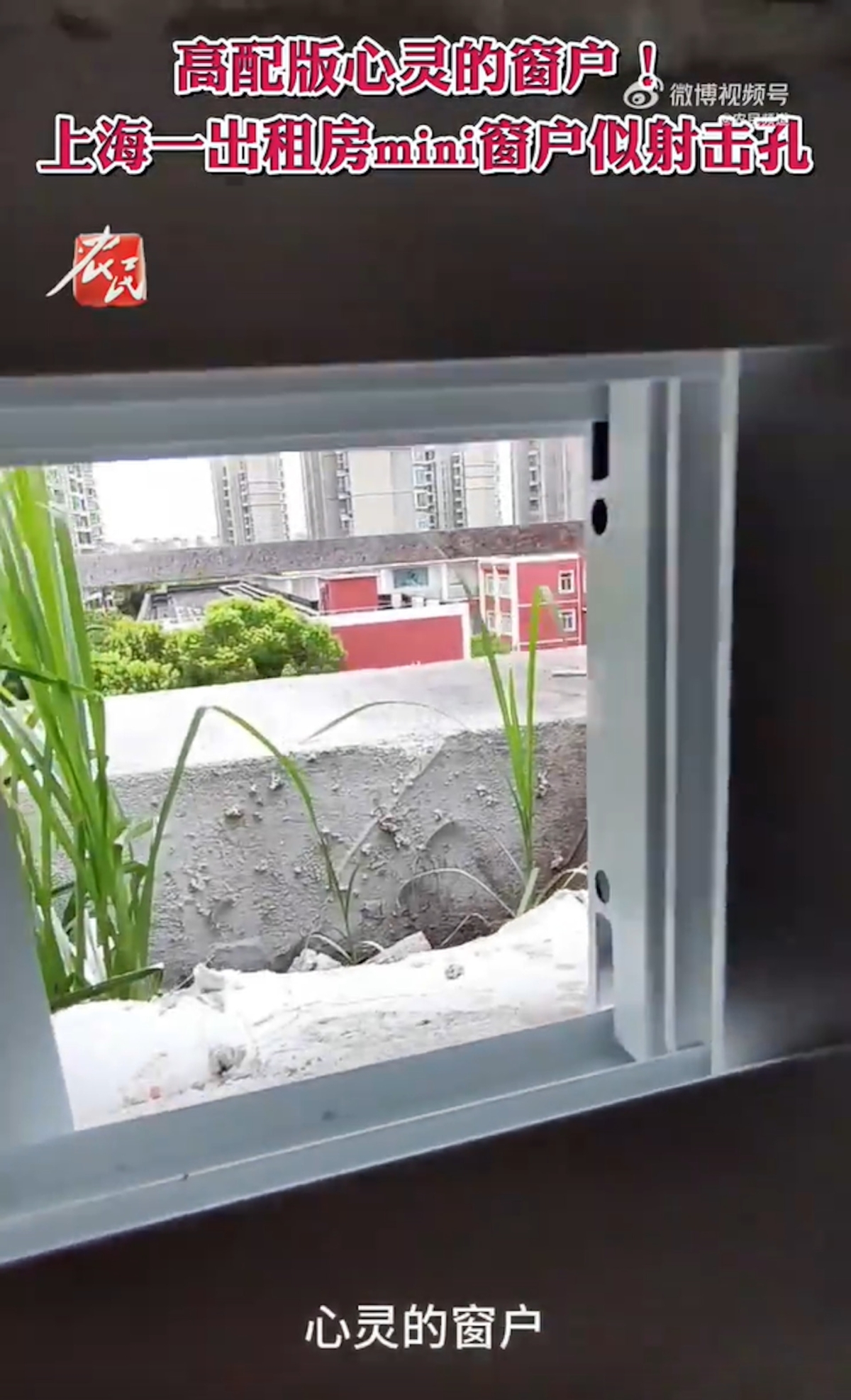 該窗戶只有巴掌大,目測面積約為150平方厘米。