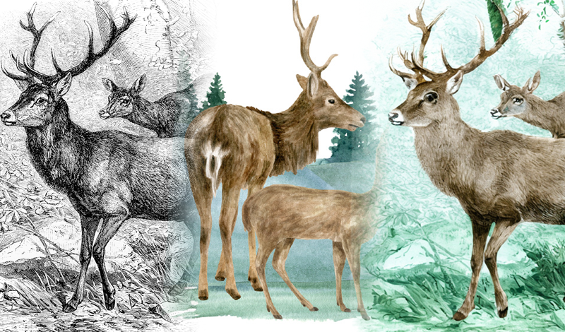 風格遷移功能保留第一張原圖的内容,再根據第二章原圖的風格轉換,達到2張原圖相融合的效果。