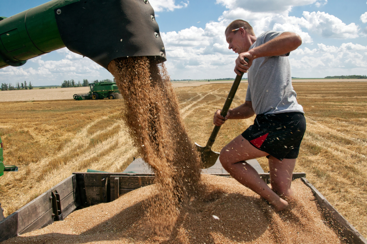 一位農夫因回覆了竪起大拇指的「like」符號而與人鬧上法庭。