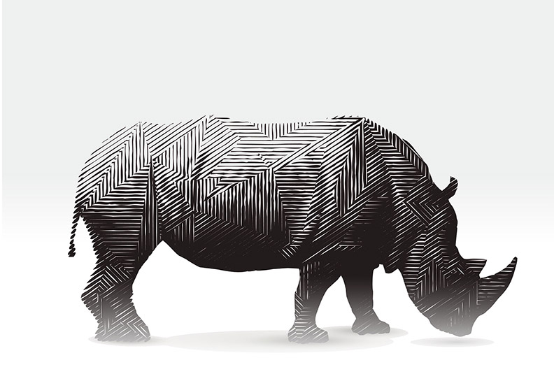 各界擔心美國債務問題成為全球金融「灰犀牛」，紛紛提出警示。