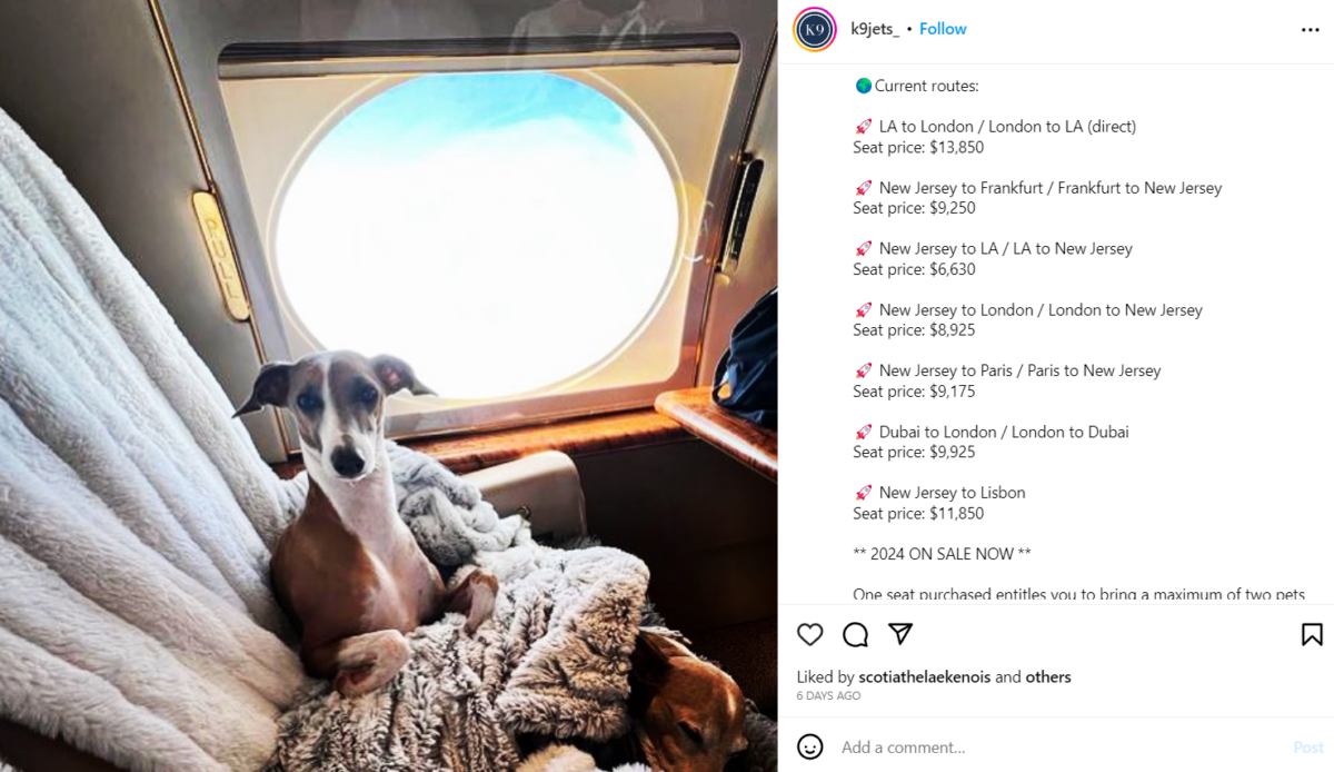 寵物同行的私人商務艙的單程機票,最低價格6,630美元(約5萬港元),最高則達1.4萬美元(約11萬港元)。