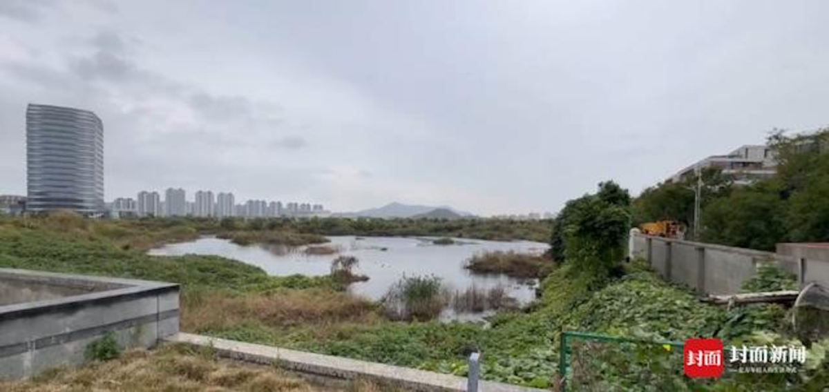 由於擔心染上癌症,一些毒地附近住戶只敢買瓶裝水喝。