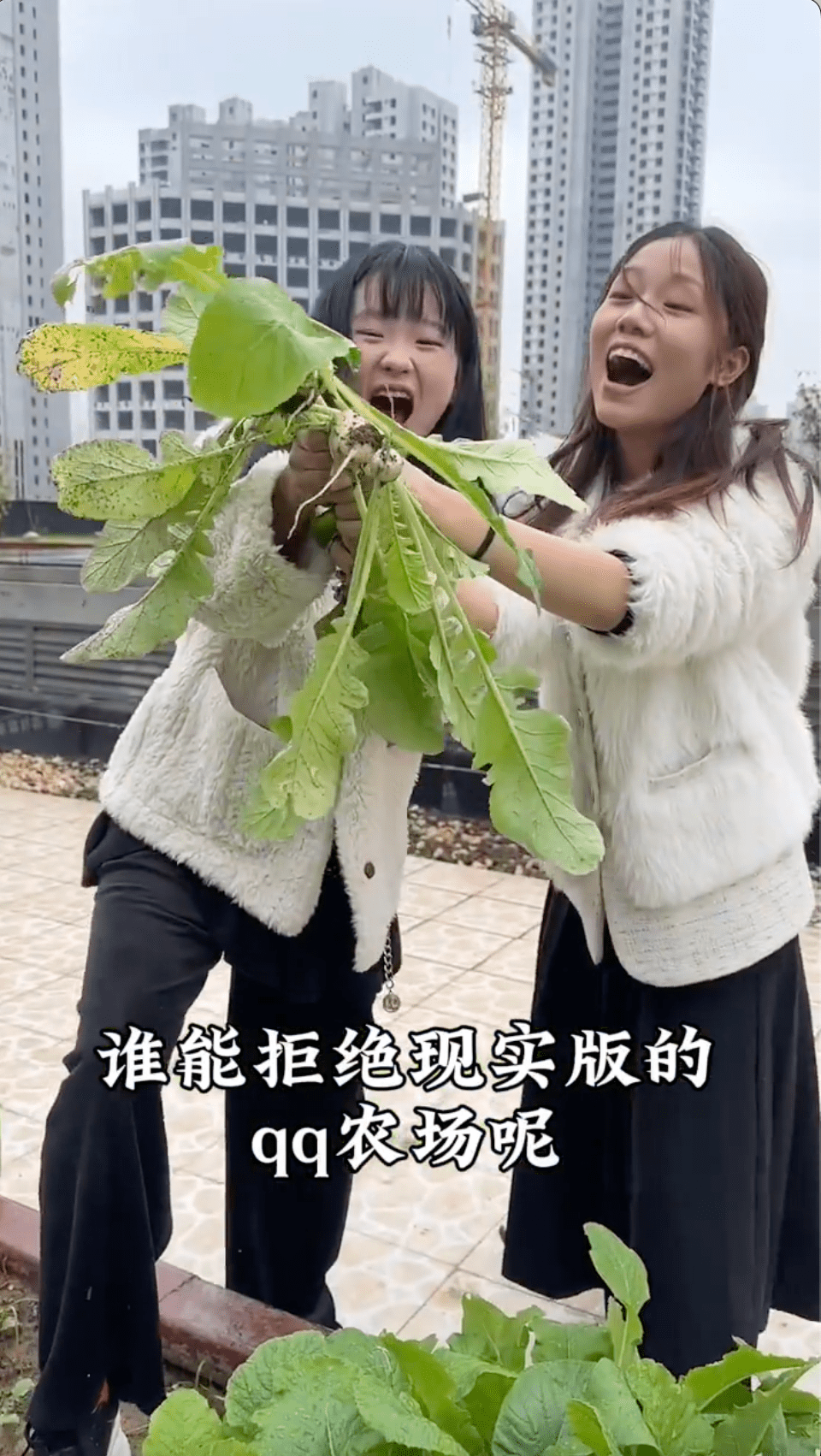 對於喜愛務農的住戶,院内亦提供室外農場,供住戶親自採摘新鮮蔬菜,或進行一些園藝活動。