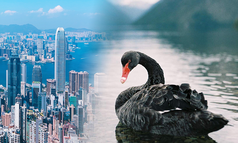 加息潮下香港股樓均大跌，散戶要小心黑天鵝可能隨時出現。