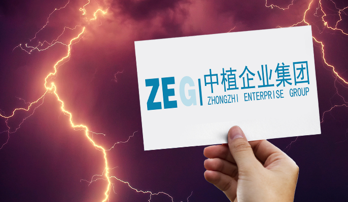 中植集團資不抵債逾2200億人民幣。