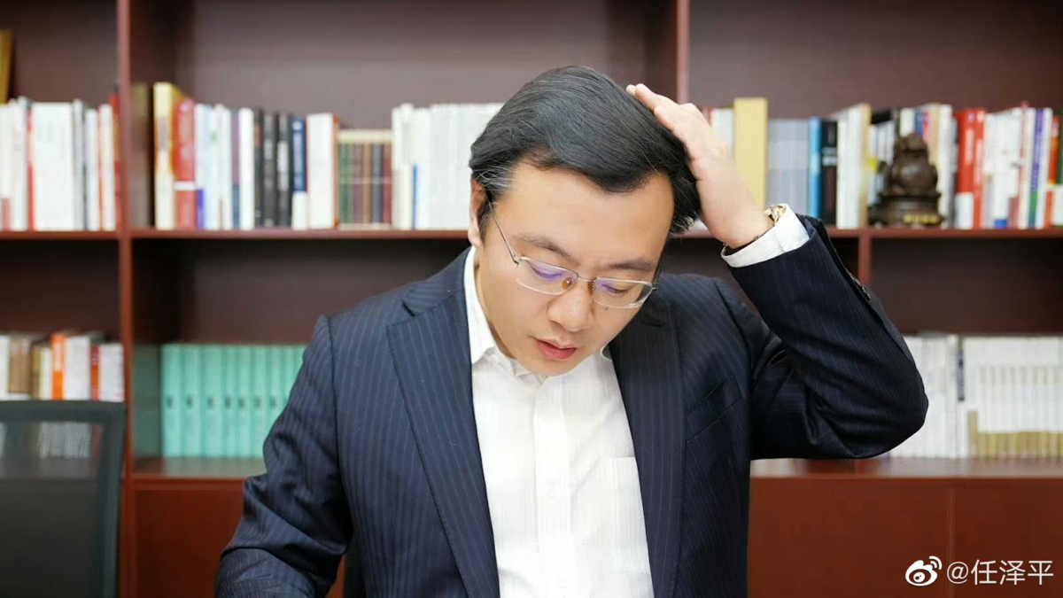 據稱,任澤平持股比例4.5%,是北京「仁生澤髮」的最終受益人。