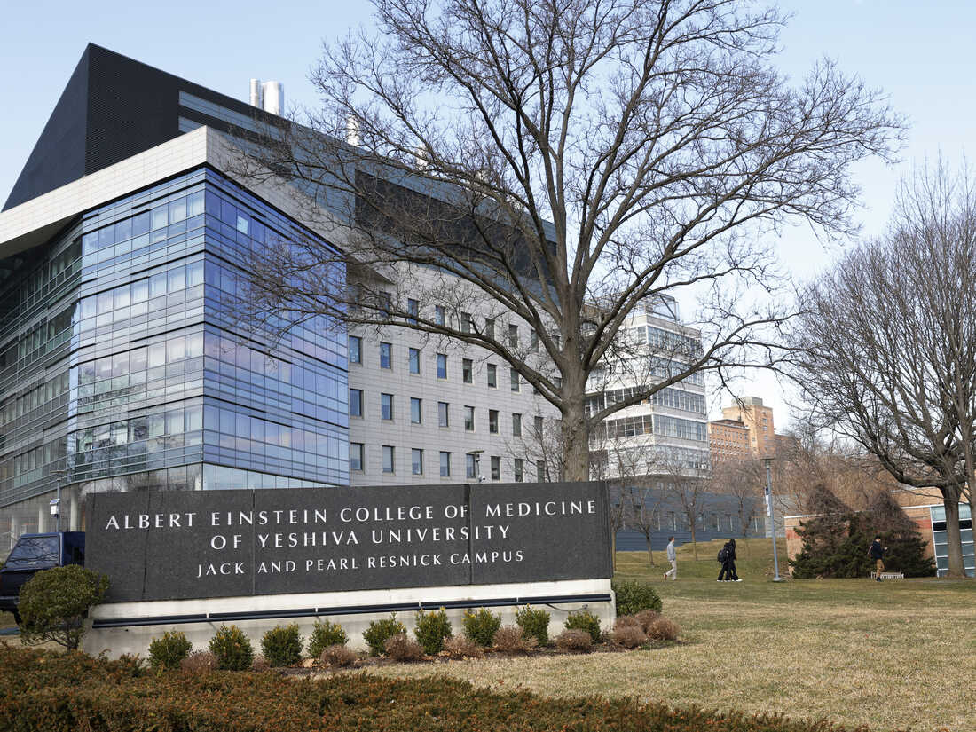 位於紐約布朗克斯（The Bronx）的私立醫學院「愛因斯坦醫學院」（Albert Einstein College of Medicine），獲得了富豪遺孀露絲戈特斯曼整整10億美元（約78億港元）的慷慨捐款，讓現在以及未來的所有學生可以免費上學。