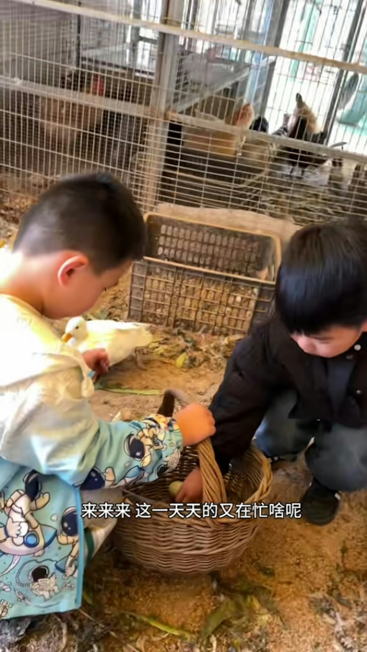 江蘇徐州的一間幼兒園為學童們開設戶外生活課,讓他們通過親自實踐學習煮飯、養鷄等技能。