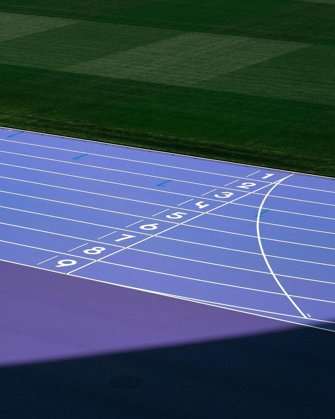 有史以來第一次換上夢幻薰衣草紫色