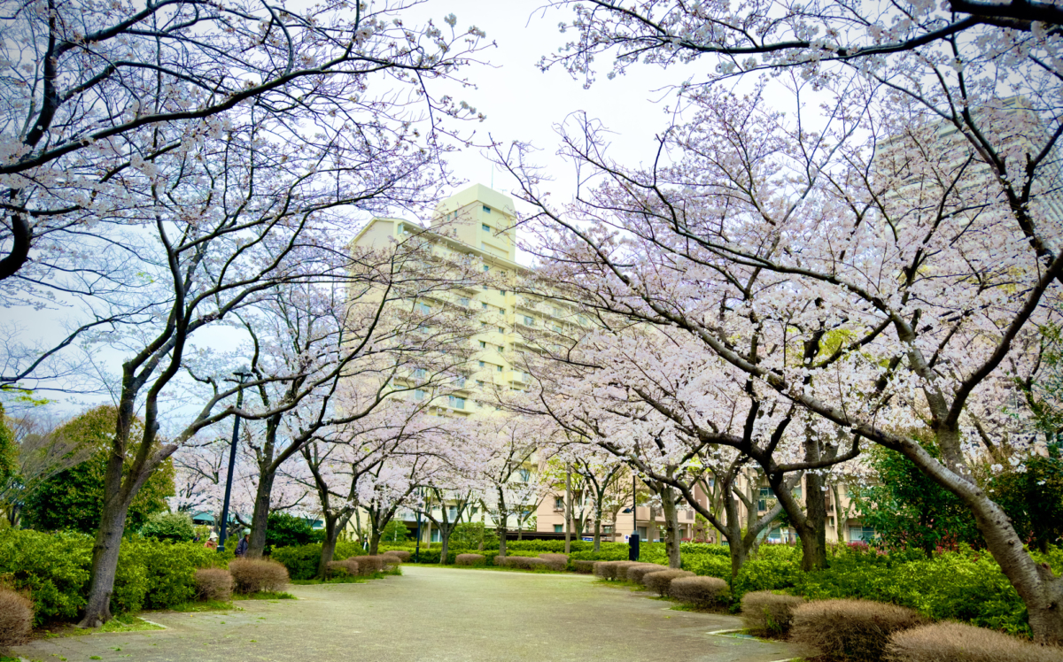 江戶川住宅毗鄰東京市中心，住宅租金相宜。