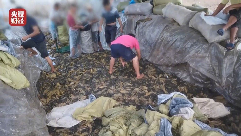 老壇酸菜曾因工人赤脚利用土坑腌製酸菜,而陷入食品安全與衛生風波。