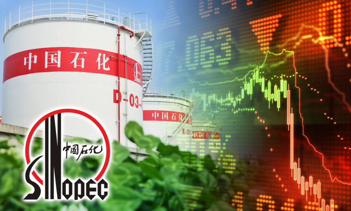 三桶油之中,現價或以中石化較適合買來長線收息。(BusinessFocus)