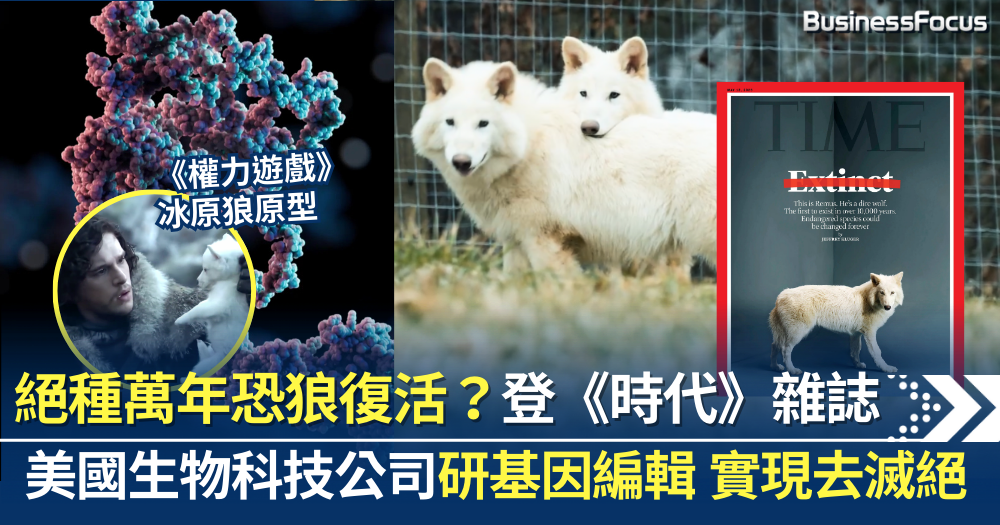 絕種萬年恐狼復活?《權力遊戲》冰原狼原型登時代雜誌