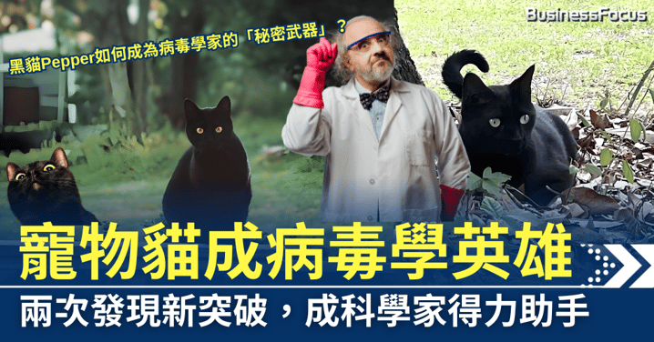 病毒學的英雄,兩次發現新病毒,僅是一直寵物貓?
