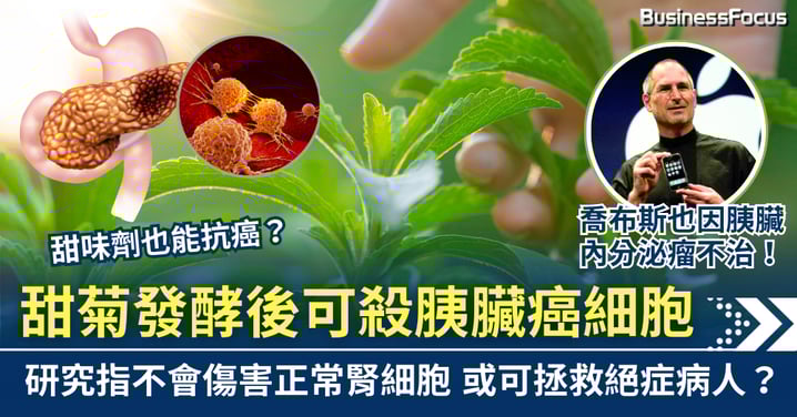 甜菊不止零熱量！ 發酵後可殺胰臟癌細胞 或令絕症有得救？
