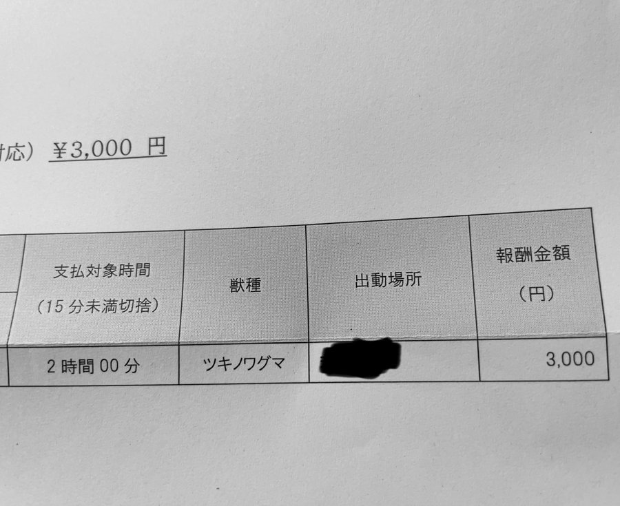 日本政府聘用獵人驅逐野熊,時薪竟只得1500日元(約75港元)。