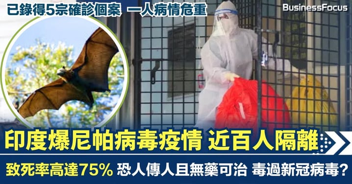 致死率高達75%！印度爆發尼帕病毒疫情 近百人隔離 恐人傳人且無藥可治 毒過新冠病毒？