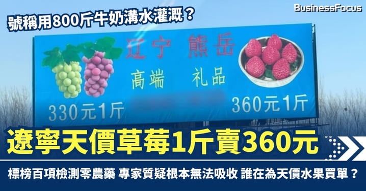 號稱用800斤牛奶溝水灌溉? 遼寧天價草莓1斤賣360元 專家質疑：根本無法吸收