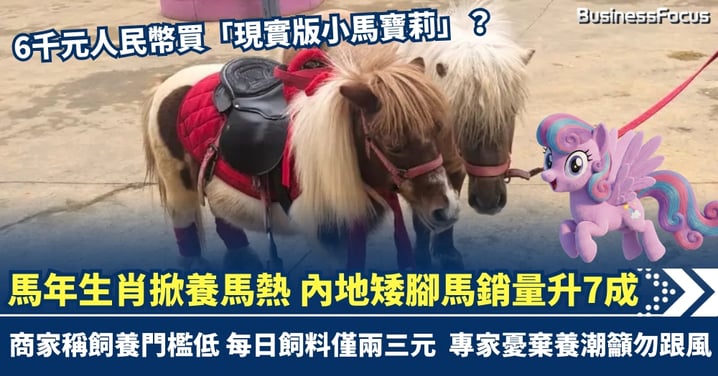 馬年掀養馬熱 6千元買現實版小馬寶莉 內地矮腳馬銷量急升7成 盲目跟風恐釀棄養潮