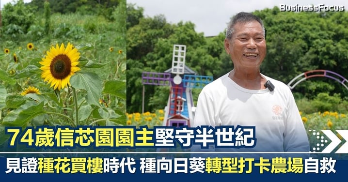 74歲信芯園園主堅守半世紀 見證種花買樓時代 十年間種向日葵轉型打卡農場自救