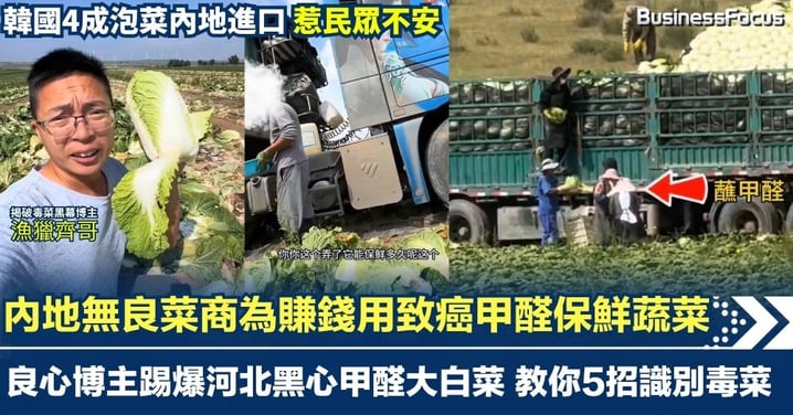 內地無良菜商為賺錢用致癌甲醛保鮮蔬菜 河北甲醛大白菜恐擴散 教你5招識別毒菜