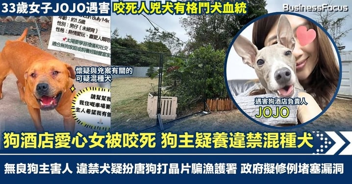 狗酒店愛心女被咬死 狗主疑養違禁混種犬? 無良狗主害人 違禁犬扮唐狗打晶片騙漁護署 政府擬修例堵塞監管漏洞