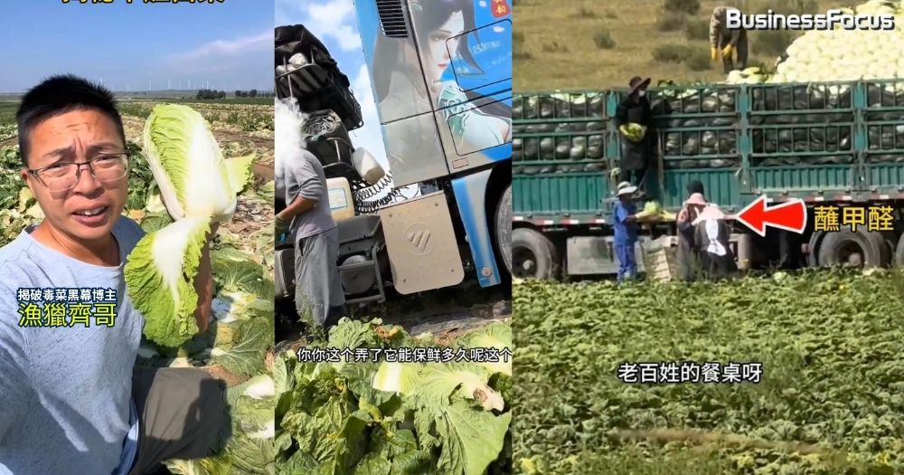 內地良心博主，揭破河北有無良菜商為賺錢用致癌甲醛保鮮大白菜。