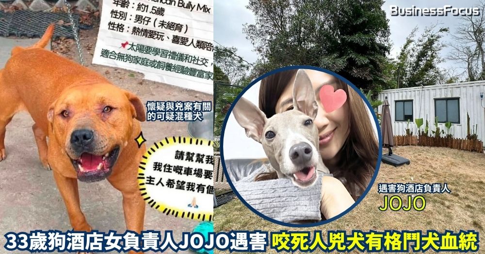 狗酒店33歲女負責人被狗咬死，涉案的大狗疑似是混有格鬥犬血統的混種犬。