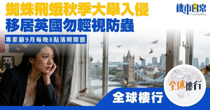 【全球樓行】蜘蛛飛蛾秋季大舉入侵 移居英國勿輕視防蟲 專家籲9月每晚8點落閘關窗
